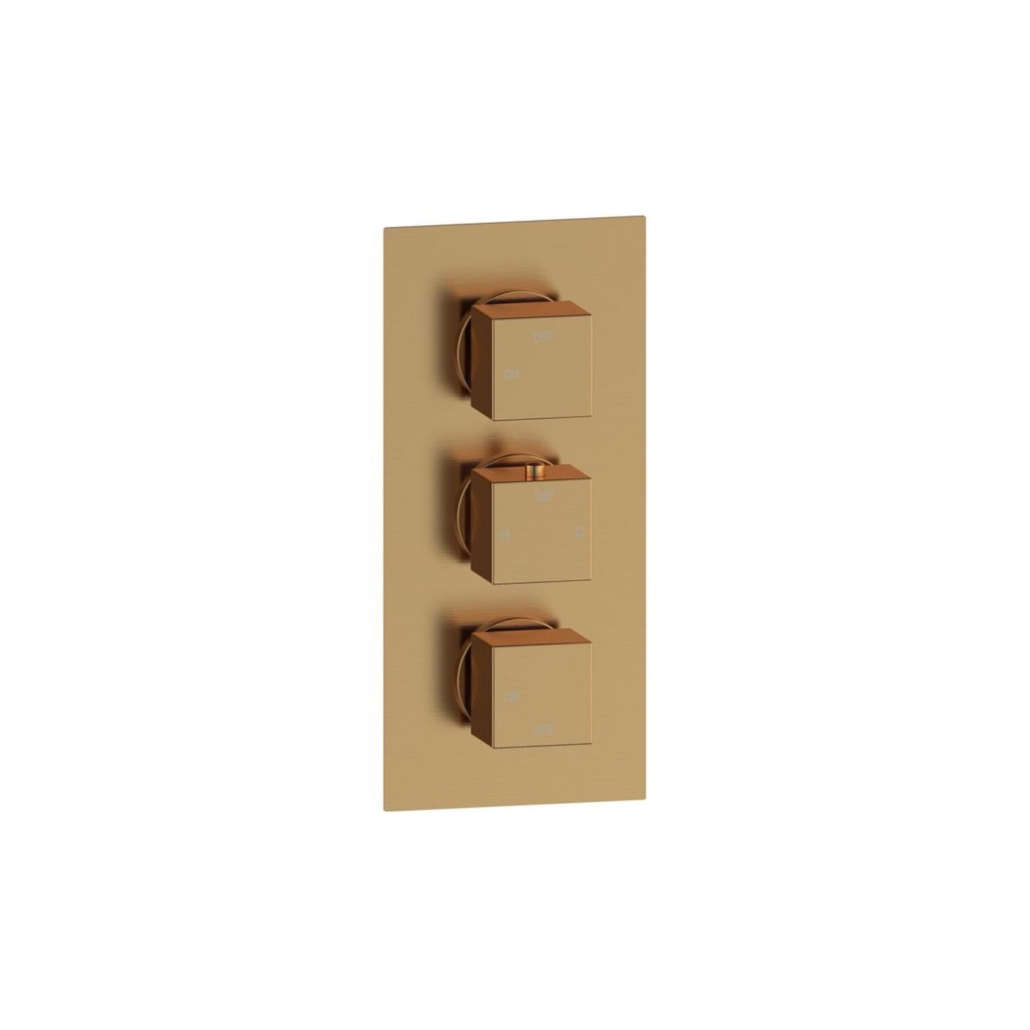 Delvyn Thermostatic Two Outlet Triple Shower Valve