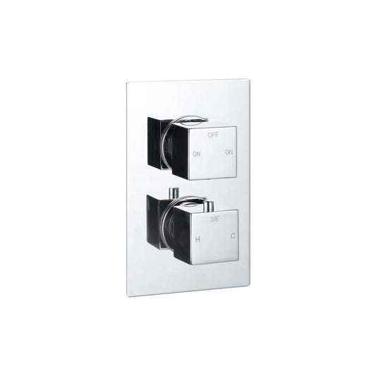 Delvyn Thermostatic Two Outlet Twin Shower Valve