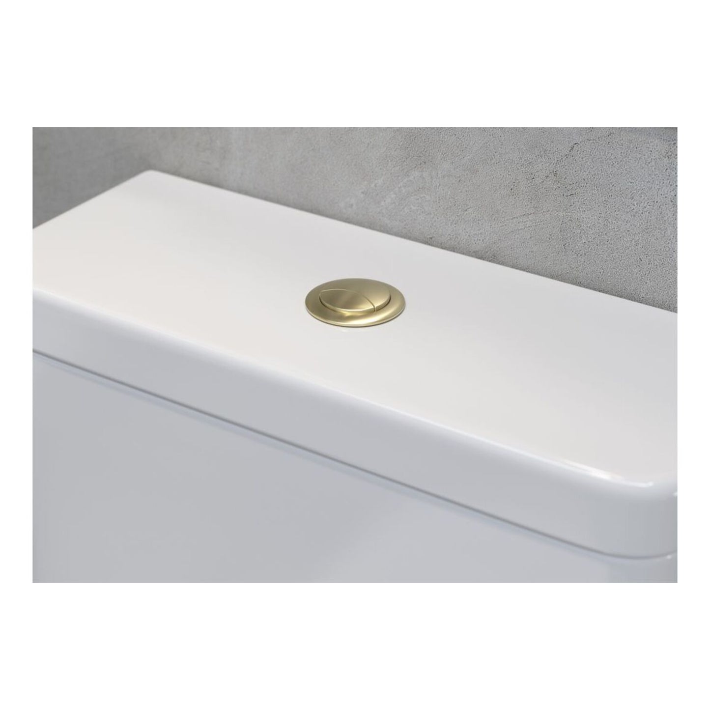 Dual Push Button Cover (Cable)
