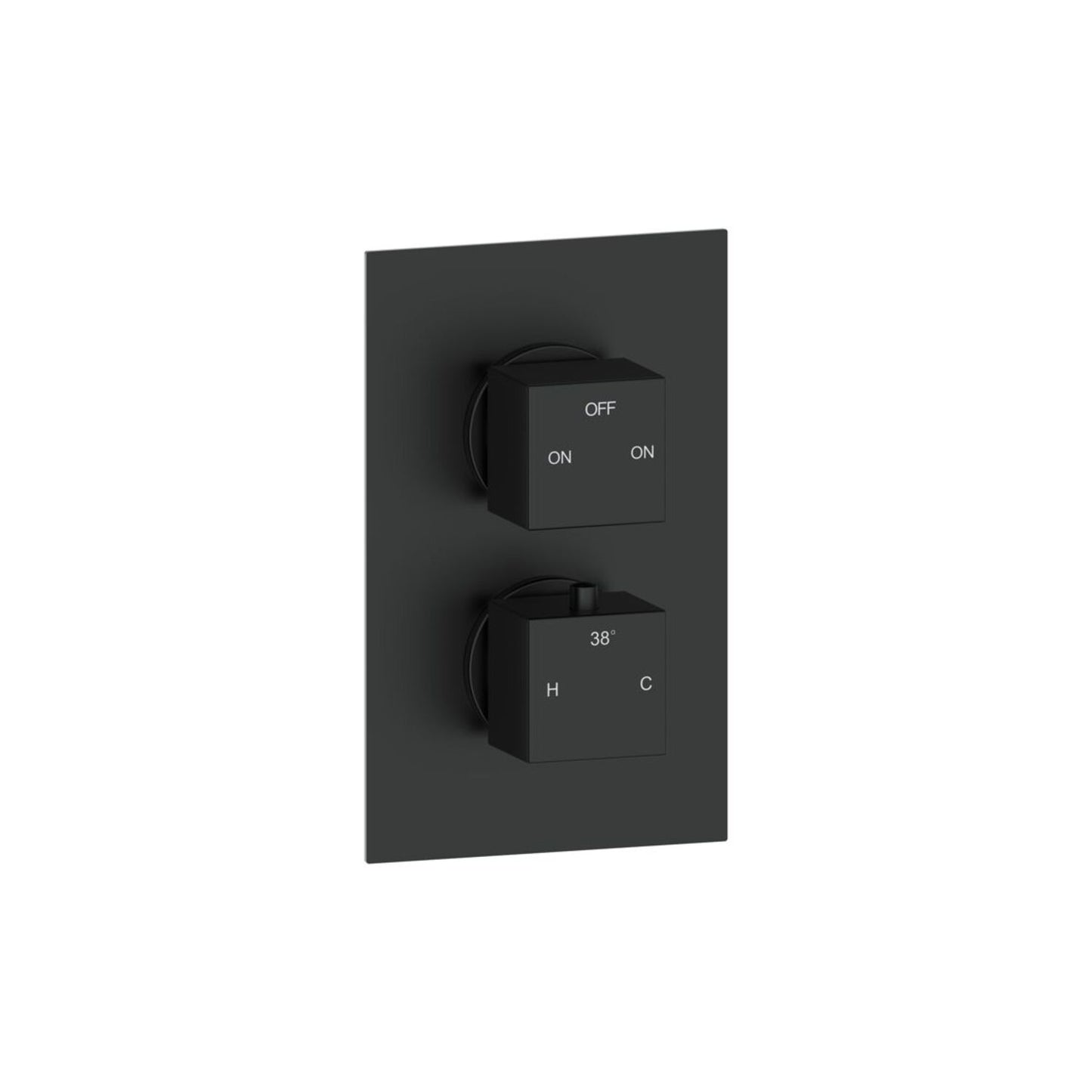 Delvyn Thermostatic Two Outlet Twin Shower Valve