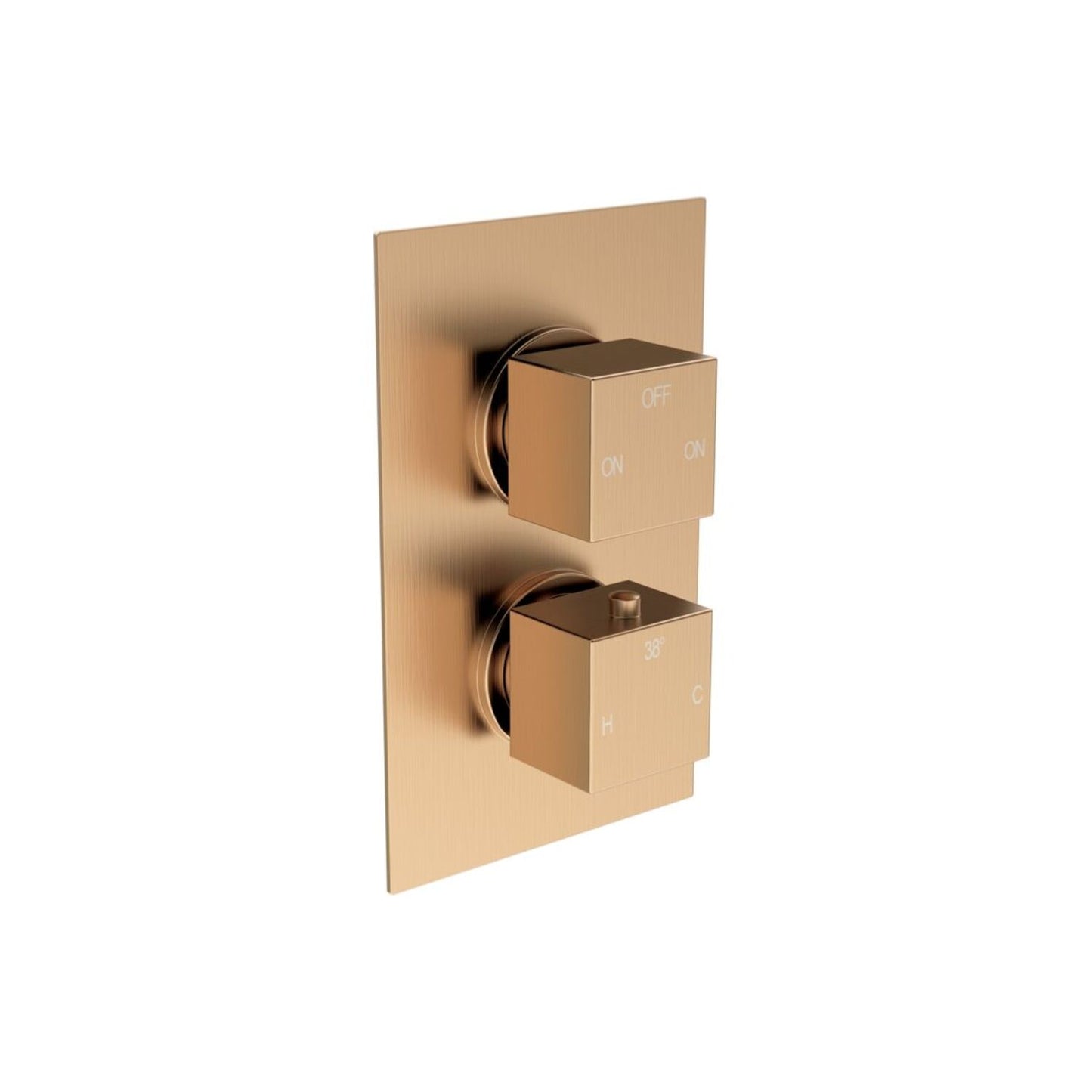 Delvyn Thermostatic Two Outlet Twin Shower Valve