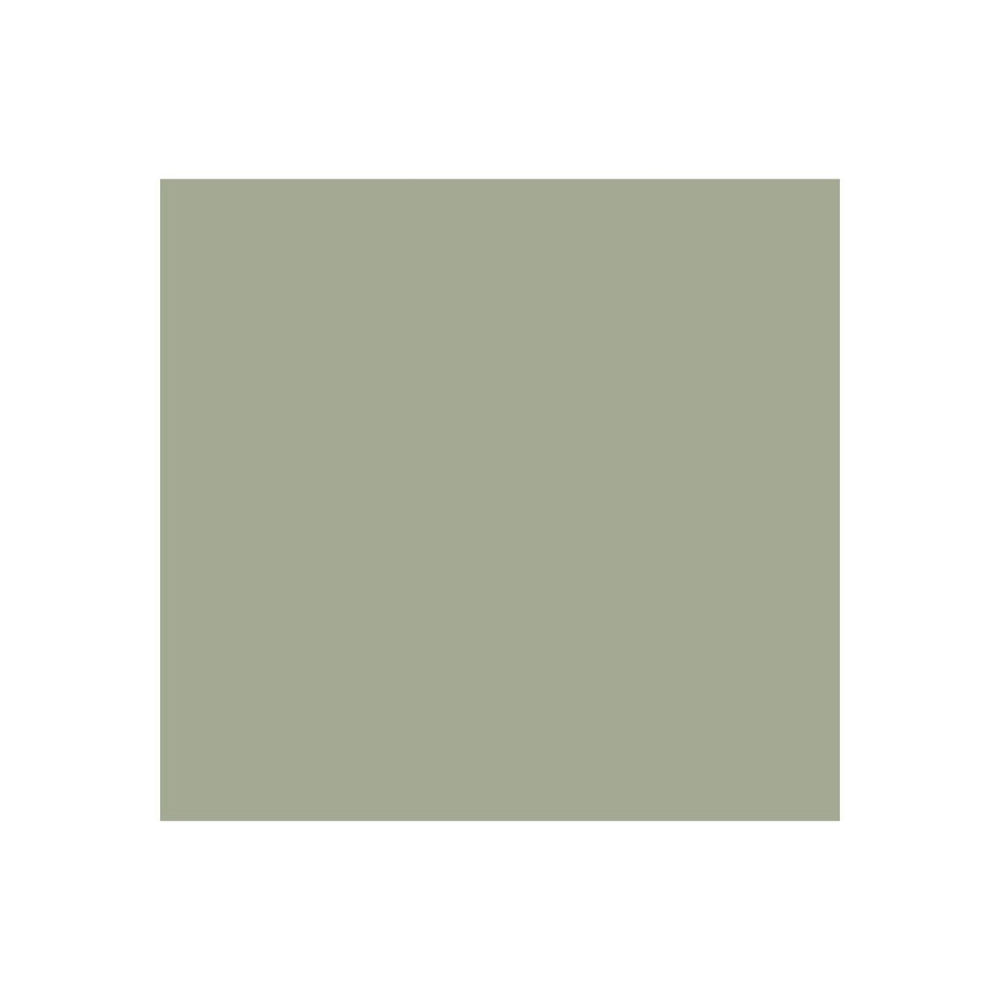 Signature - Olive Green (Plain Panel)