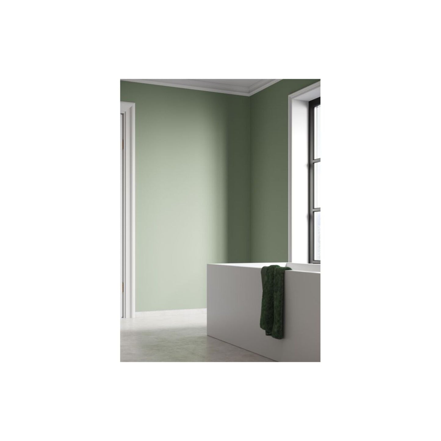 Signature - Olive Green (Plain Panel)